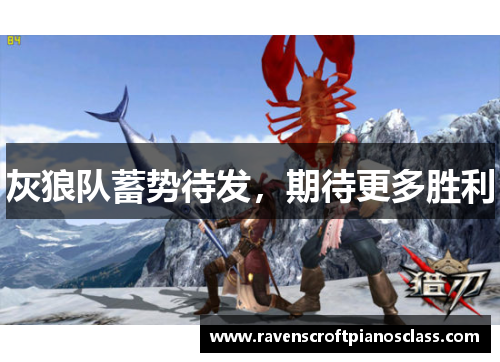 灰狼队蓄势待发，期待更多胜利