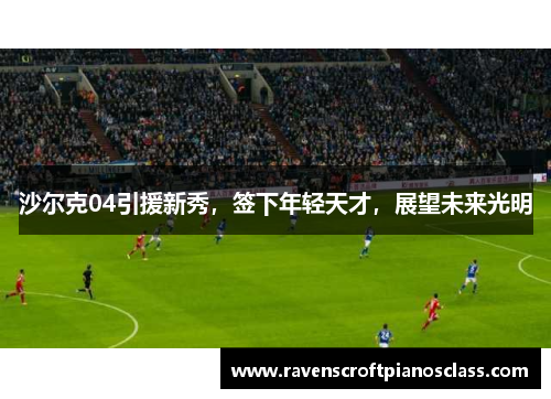 沙尔克04引援新秀，签下年轻天才，展望未来光明