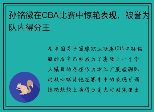 孙铭徽在CBA比赛中惊艳表现，被誉为队内得分王